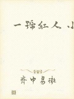 一号红人 小说