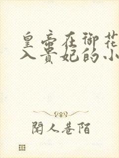 皇帝在御花园进入贵妃的小说