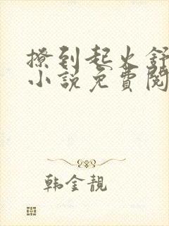 撩到起火舒漾的小说免费阅读全文