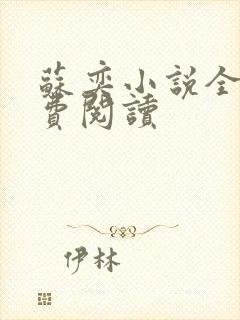 苏奕小说全文免费阅读