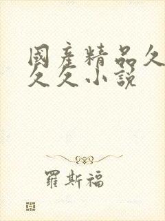 国产精品久久久久久小说