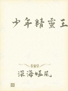 少年精灵王