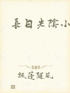 长日光阴小说