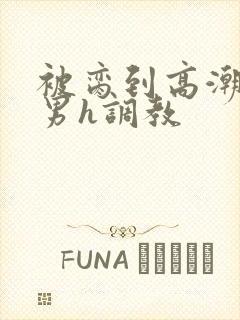 被脔到高潮的直男h调教