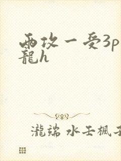 两攻一受3p双龙h