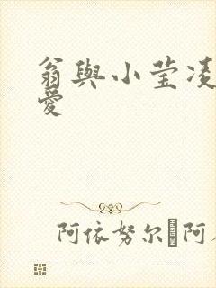 翁与小莹凌晨欢爱