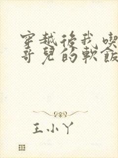 穿越后我吃到了哥儿的软饭炉山灰