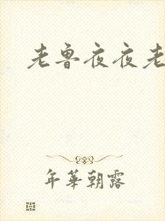 老鲁夜夜老鲁