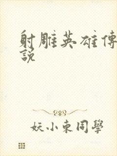 射雕英雄传 小说