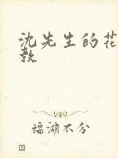 沈先生的花式调教