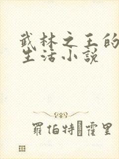 武林之王的退隐生活小说