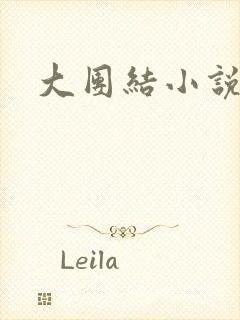 大团结小说全文