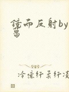 镜面反射by九葛