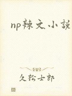 np辣文小说