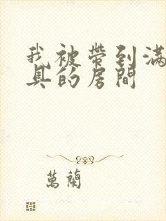 我被带到满是玩具的房间