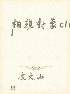 相亲对象c1v1