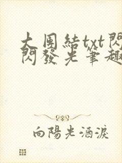 大团结txt闪闪发光笔趣阁