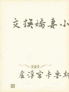 交换娇妻小说