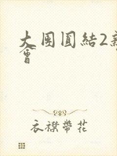 大团圆结2亲情会