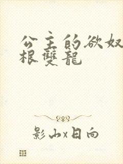 公主的欲奴h四根双龙