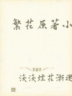繁花原著小说