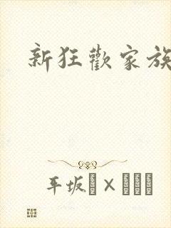 新狂欢家族小说