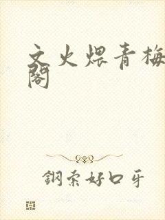 文火煨青梅笔趣阁