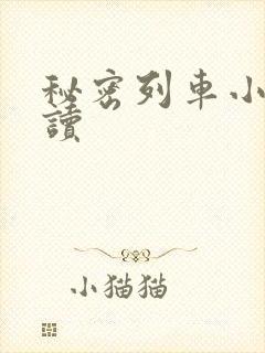 秘密列车小说阅读