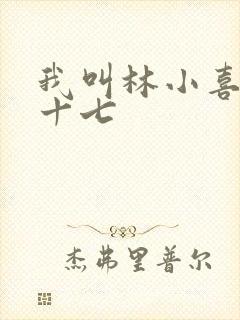 我叫林小喜今年十七