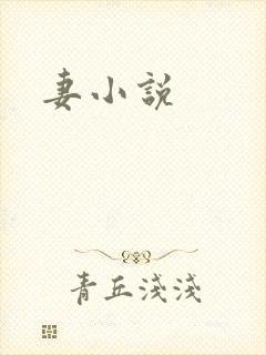 妻小说