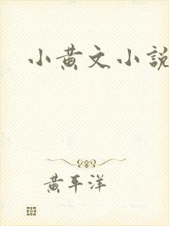 小黄文小说