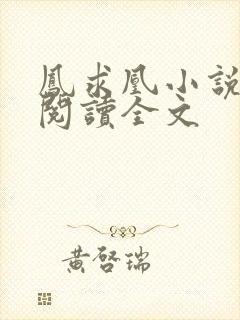 凤求凰小说免费阅读全文