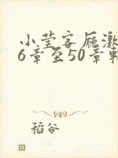 小莹客厅激情46章至50章软件介绍