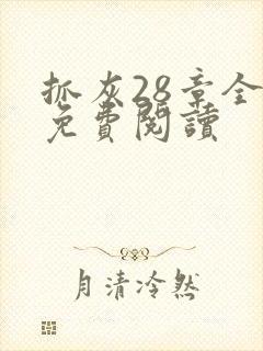 抓灰28章全部免费阅读