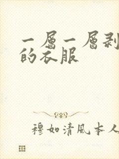 一层一层剥开我的衣服