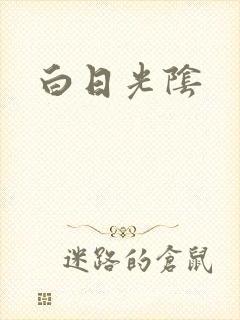 白日光阴