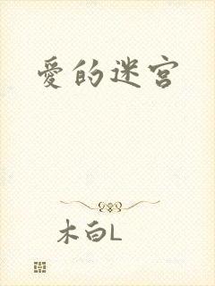 爱的迷宫