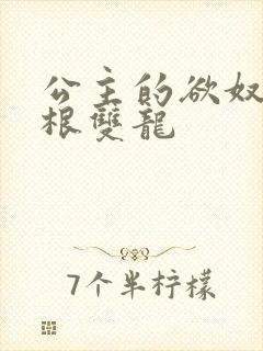 公主的欲奴h四根双龙