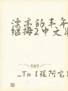 漂亮的丰年经的继拇2中文版