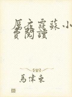 厉夜霆苏小汐免费阅读