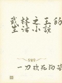 武林之王的退隐生活小说