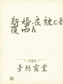 新婚夜被c翻云覆雨h