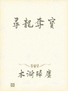 寻龙夺宝