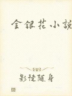 金银花小说乐可