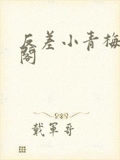 反差小青梅笔趣阁