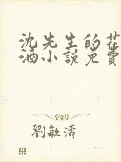 沈先生的花式调酒小说免费阅读