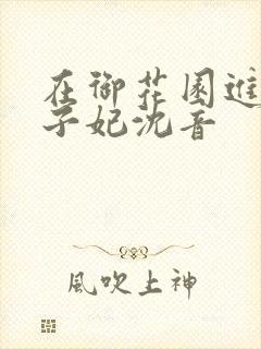 在御花园进入太子妃沈音