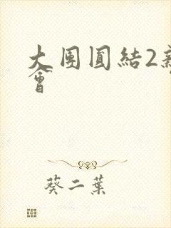 大团圆结2亲情会