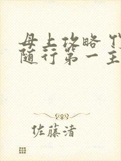 母上攻略 竹影随行第一主板