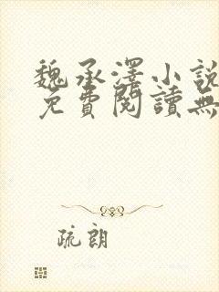 魏承泽小说全文免费阅读无弹窗笔趣